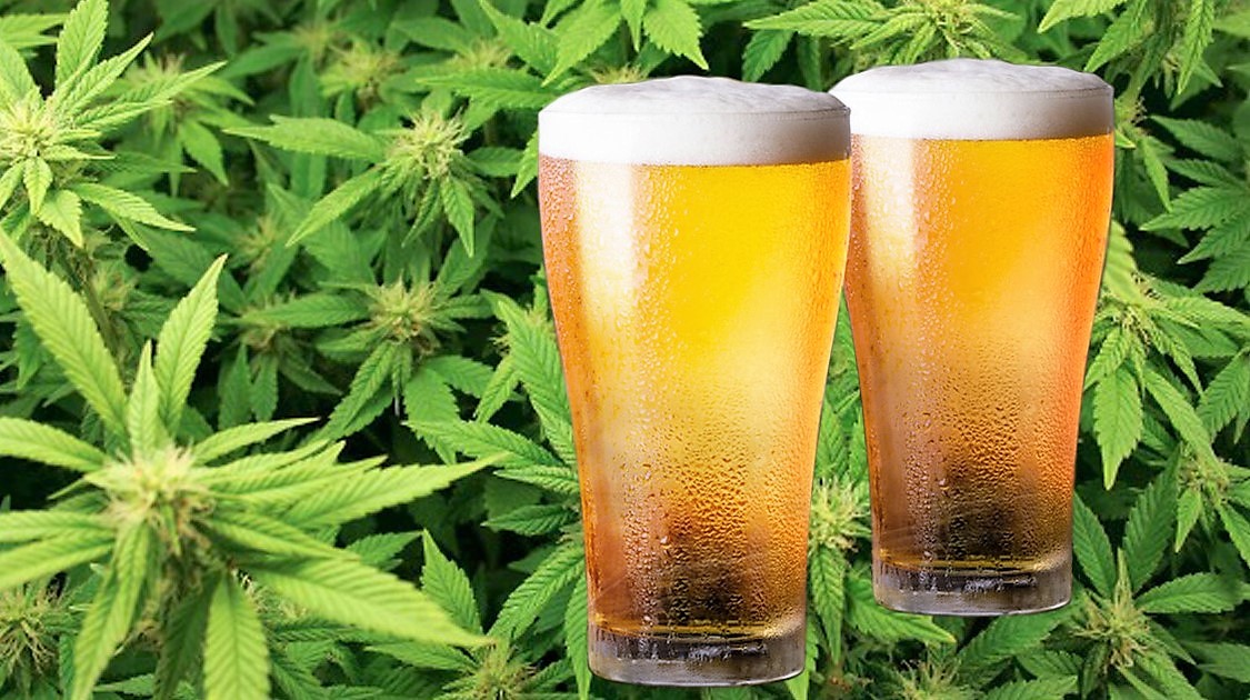 Bevande alcoliche ed analcoliche al CBD (cannabidiolo non psicoattivo): un mercato in forte espansione