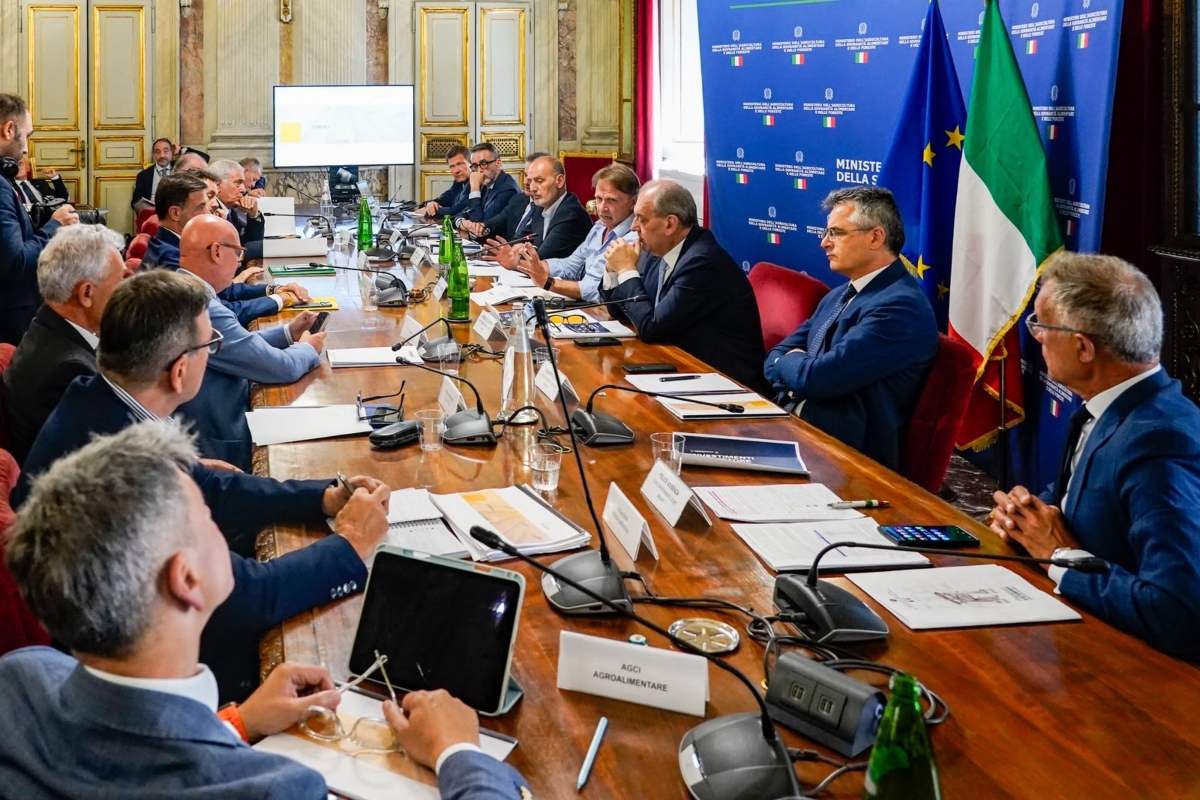 Tavolo grano al Masaf (21 luglio 2026)