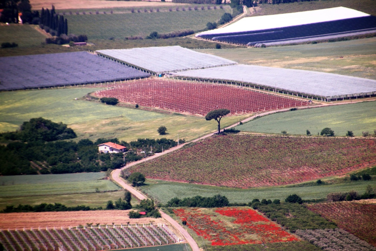 Campi agricoli nei pressi di Norma nell'Agro Pontino