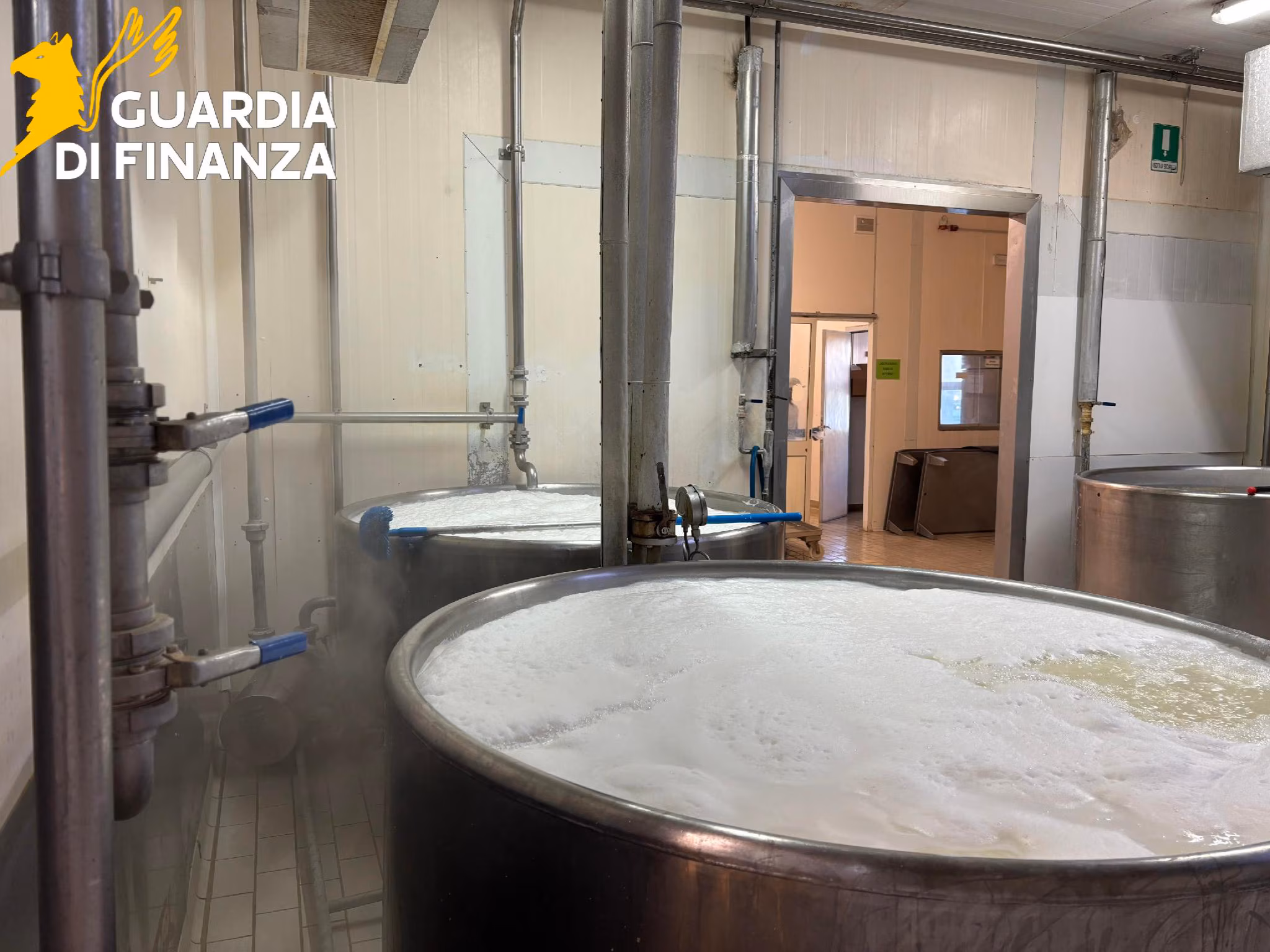 Vittoria (Ragusa): truffa del latte maltese spacciato per italiano e siciliano scoperta dalla GdF luglio 2025