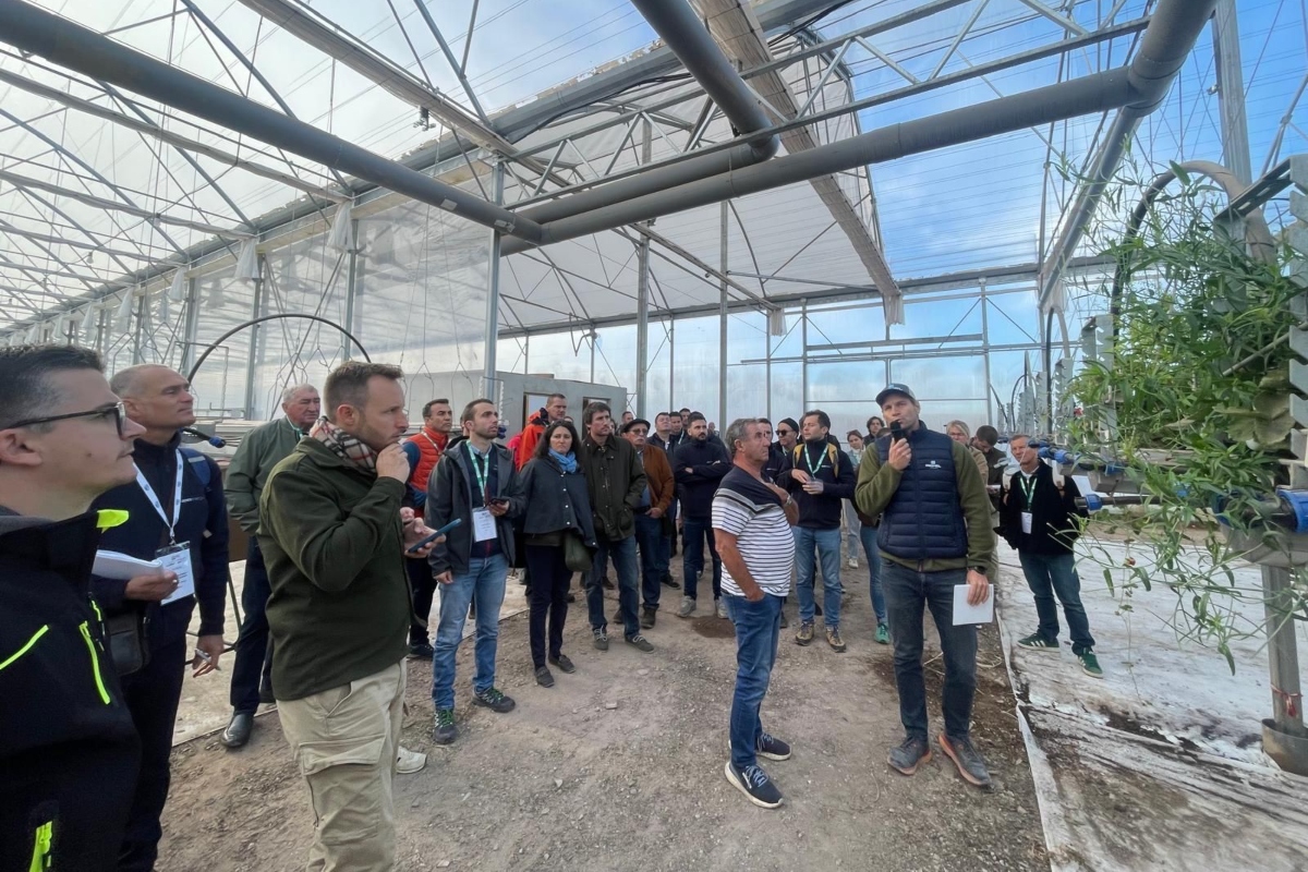 Visite tecniche in occasione di International Asparagus Days e International Berries Days (Bordeaux, ottobre 2025)