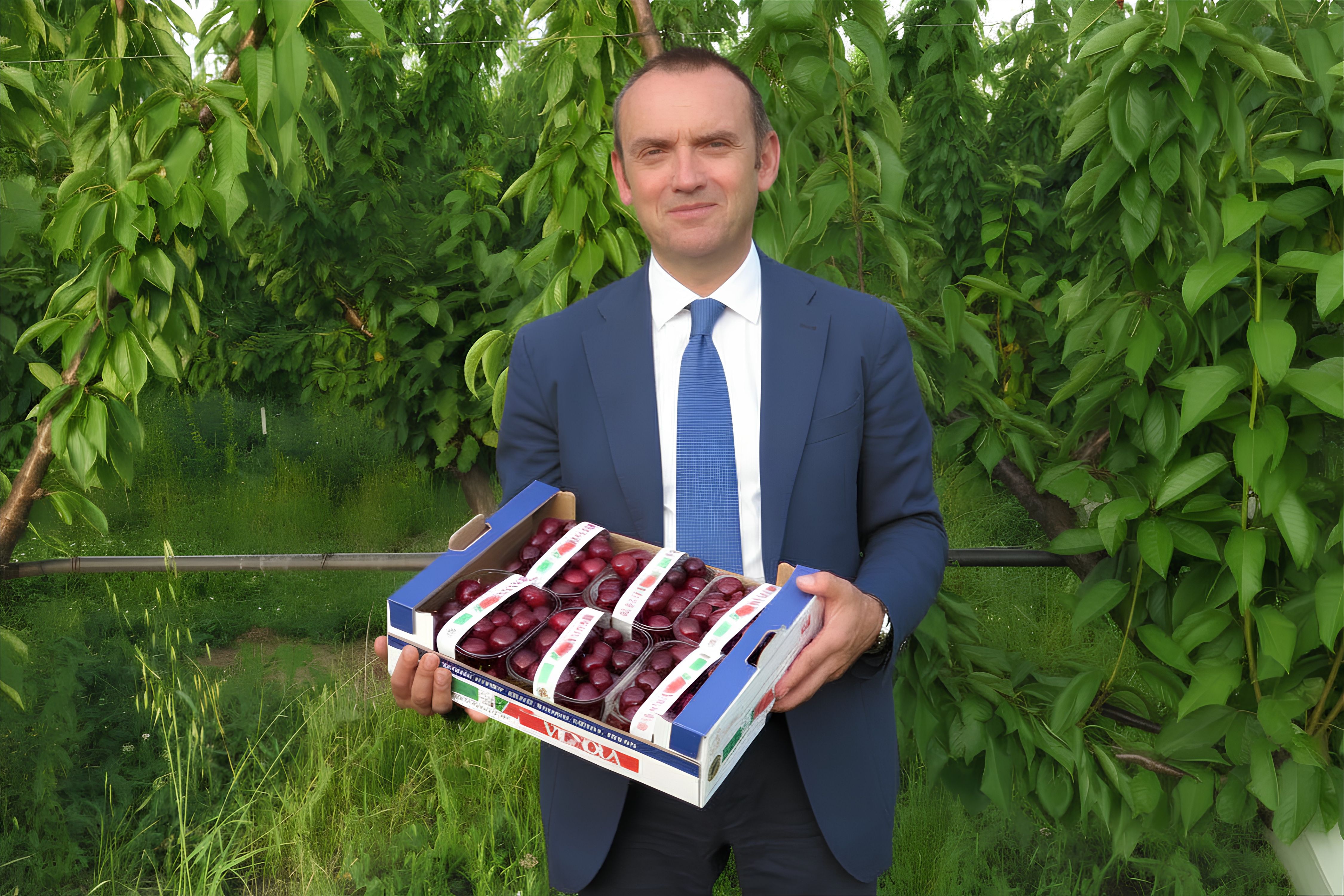 Andrea Bernardi, Ex Presidente Consorzio della Ciliegia, della Susina e della Frutta Tipica di Vignola