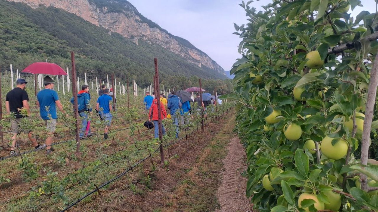 Incontro frutticolo Fondazione Edmund Mach (Denno, 20 agosto 2026)