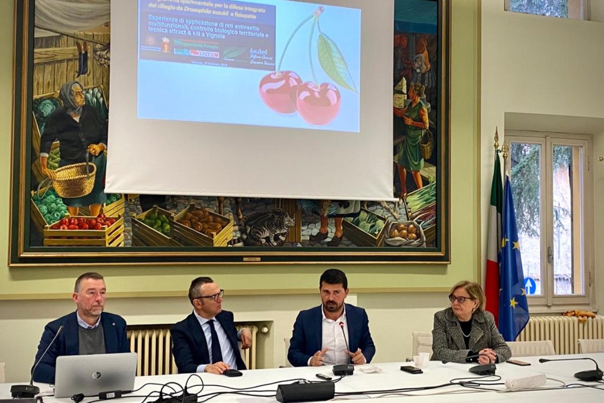 Incontro su progetto Ciliegie di Vignola