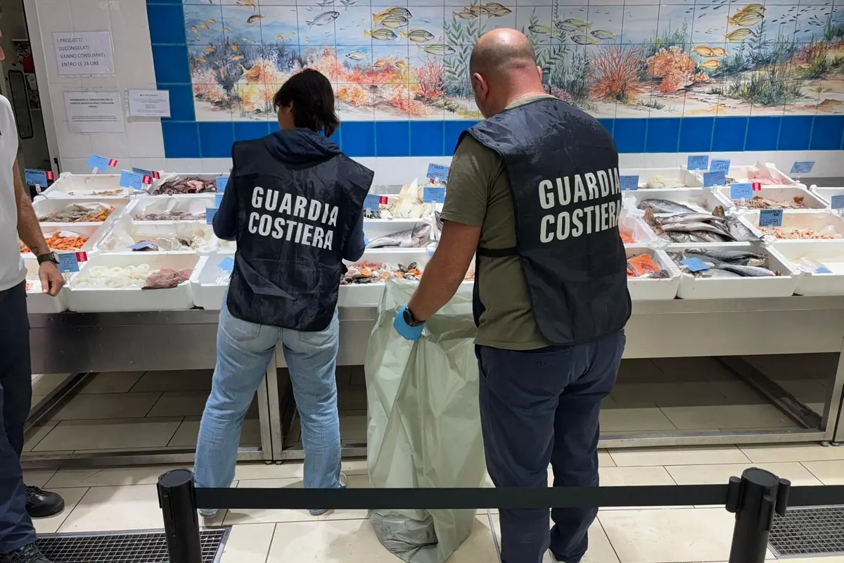 Guardia Costiera di Civitavecchia, controlli e sequestri di pesce in un supermercato di Ladispoli