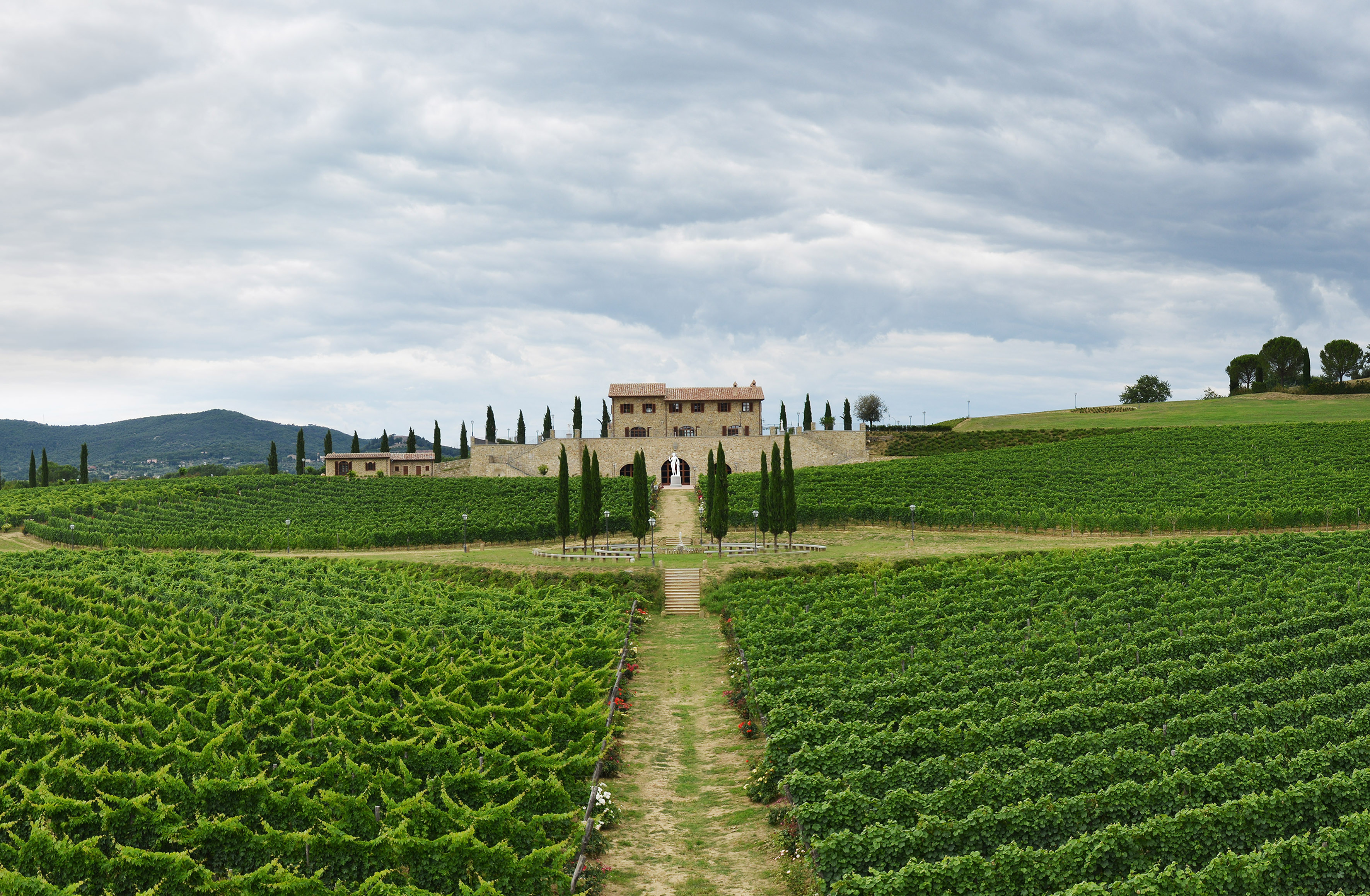 Parco Agrario: vista centrale della vigna e sullo sfondo la cantina a Solomeo (PG)