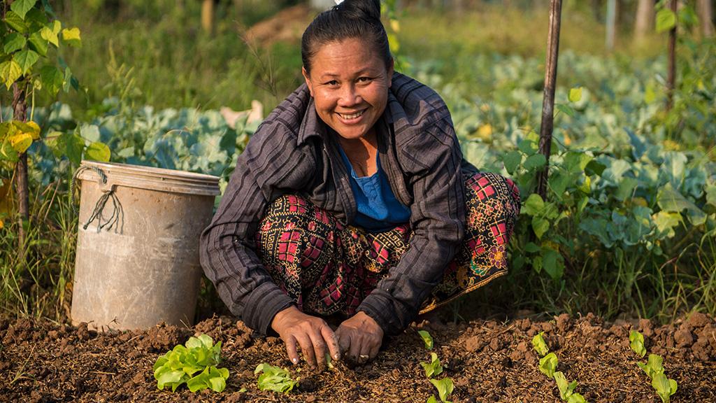 Asian development bank (Adb) aiuta con 26 miliardi di dollari l'espansione agricola in Asia e Pacifico