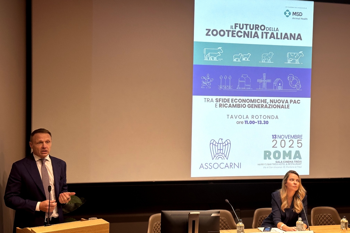 Il ministro dell'Agricoltura, Francesco Lollobrigida interviene a tavola rotonda Assocarni (Roma, 13 novembre 2025)
