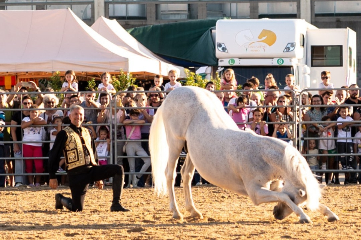 Esibizione equina alla Fiera di Sant'Alessandro 2025