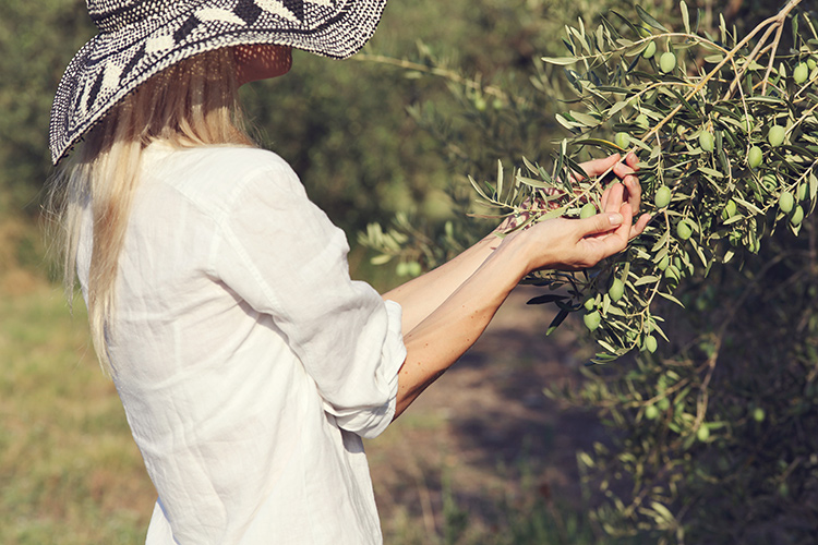 Dal 1° gennaio 2020 un emendamento approvato con la Legge di Bilancio 2020 ha equiparato l'oleoturismo, o turismo dell'olio, all'enoturismo