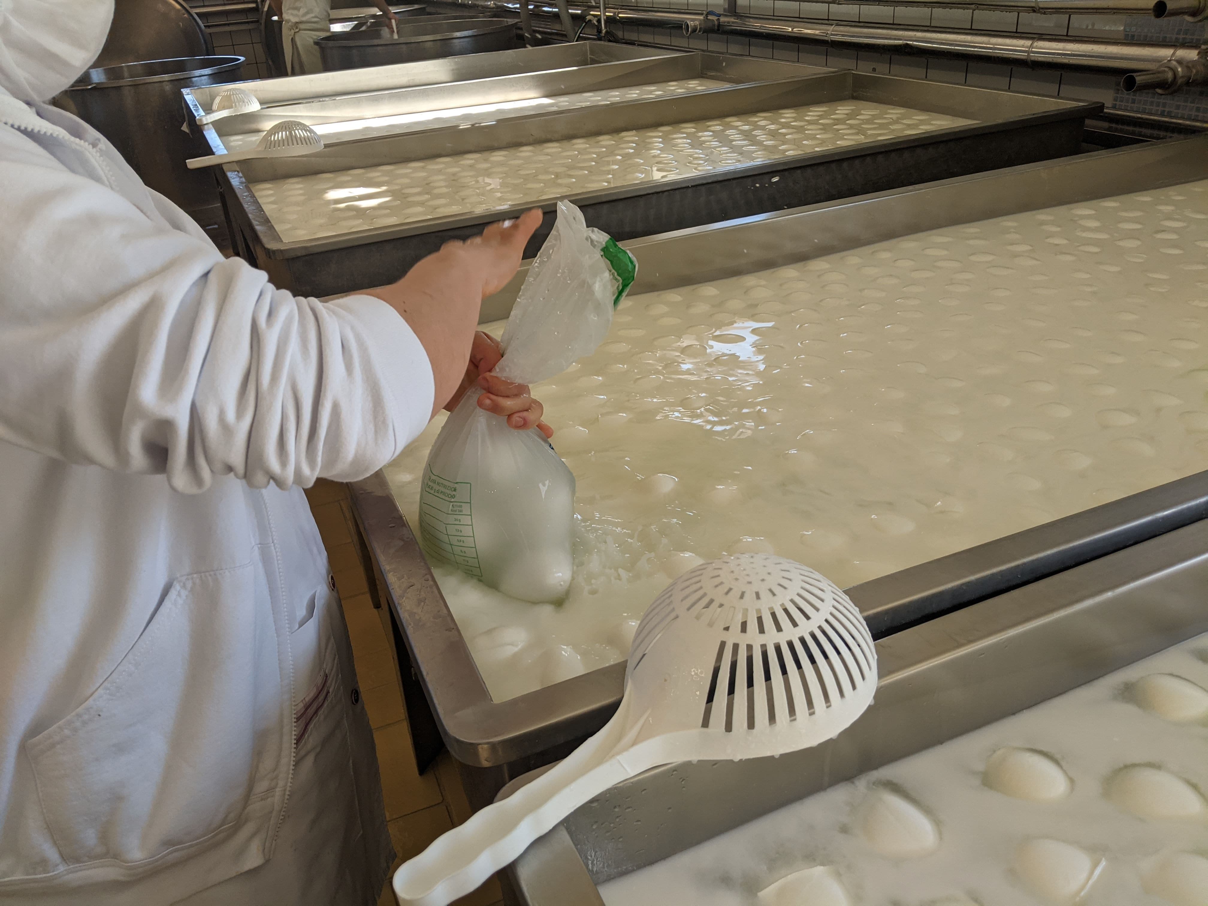 Produzione mozzarelle di bufala all'interno di uno dei casari appartenenti al Consorzio Tutela Mozzarella di Bufala Campana DOP