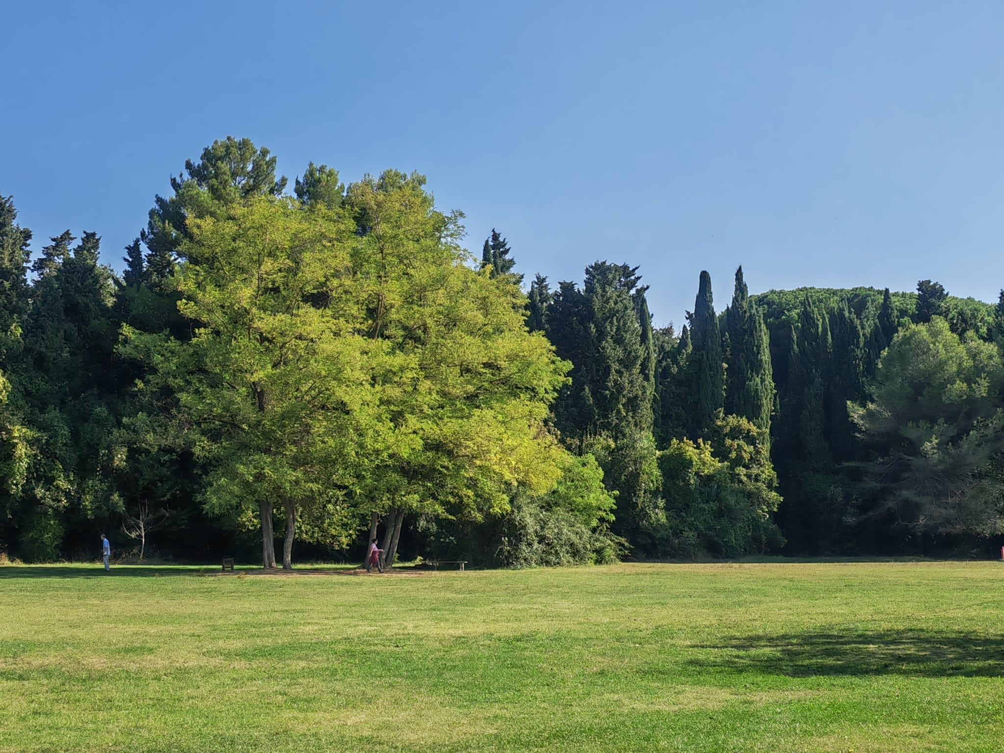 Parco del Miralfiore a Pesaro: qui sorge il primo Parco della salute certificato in Italia