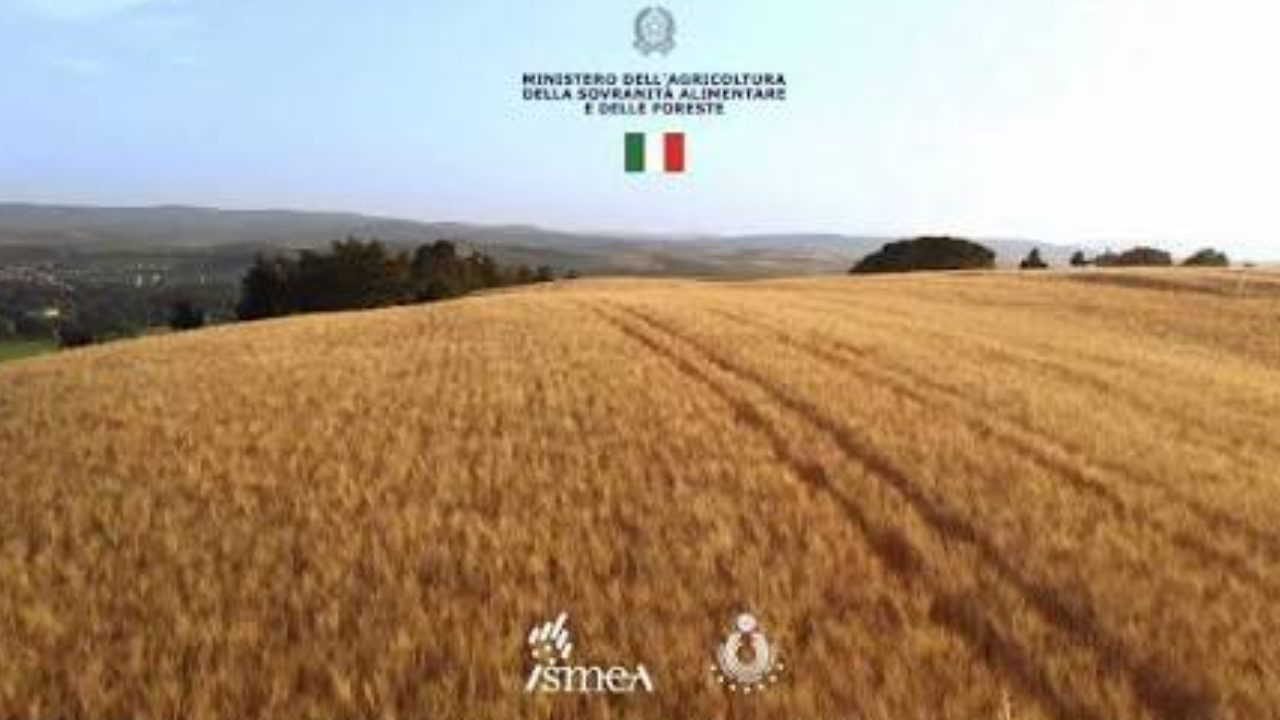 Fotogramma spot Masaf pasta 100% italiana