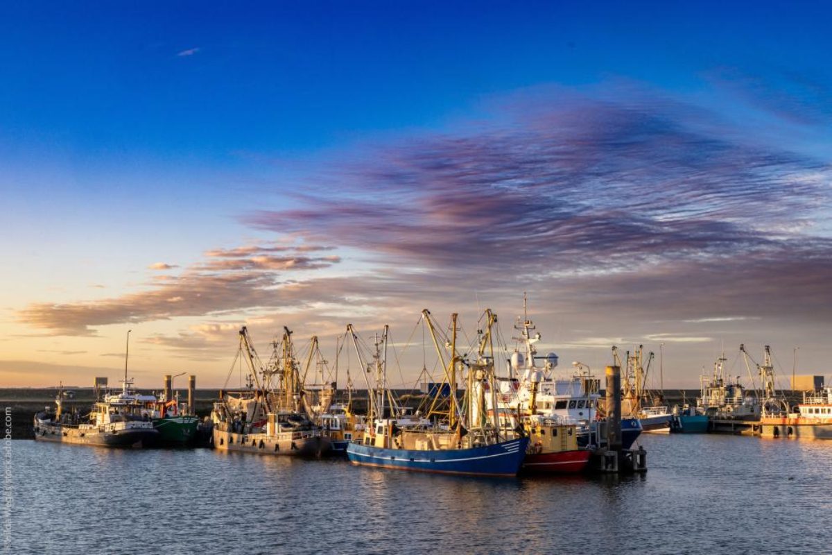 Tramonto a Lauwersoog con pescherecci lungo il Mare dei Wadden a Groningen (Paesi Bassi)