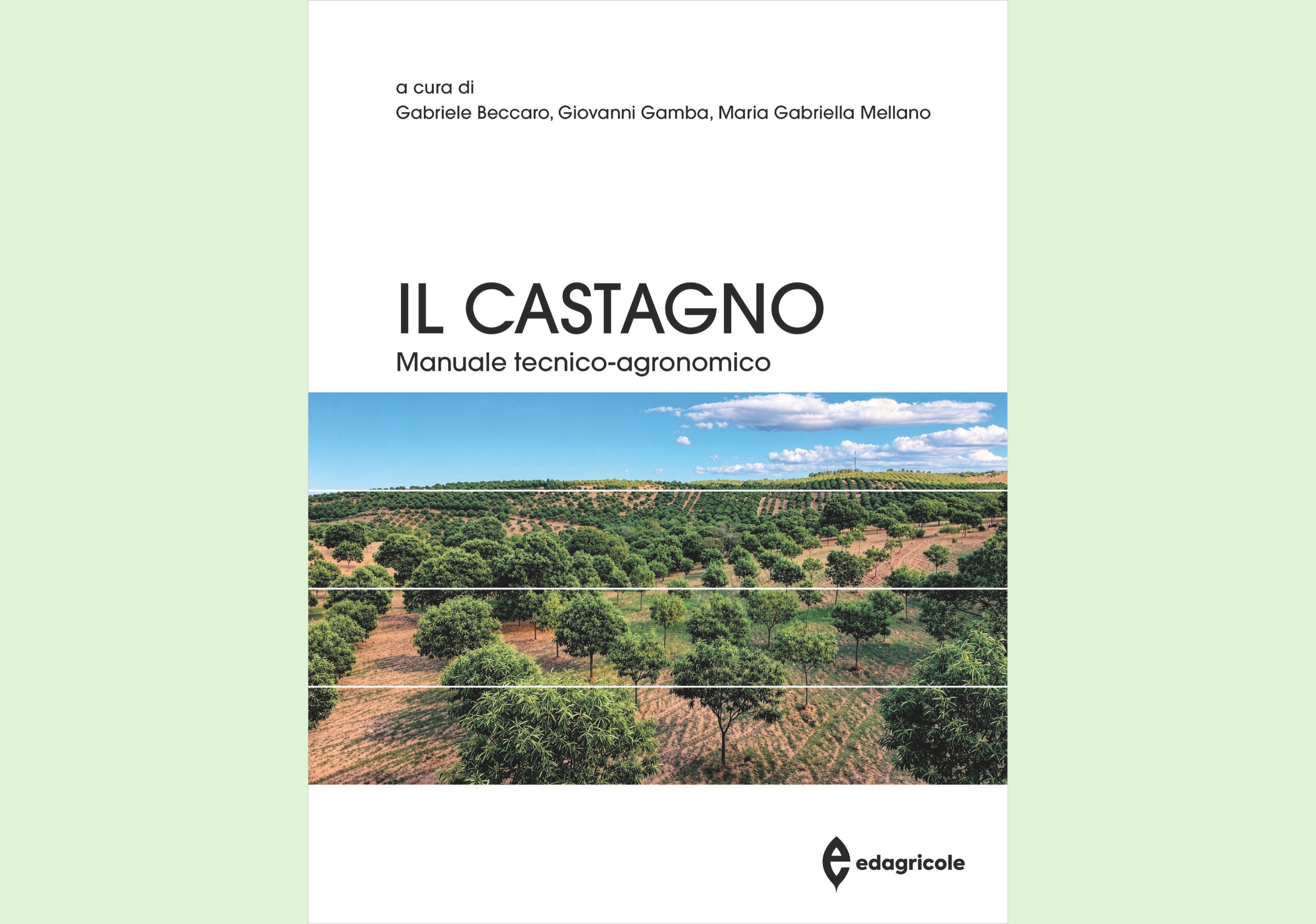 “Il castagno. Manuale tecnico-agronomico” (Edagricole, 2026, 262 pagine), a cura di Gabriele Beccaro, Giovanni Gamba, Maria Gabriella Mellano