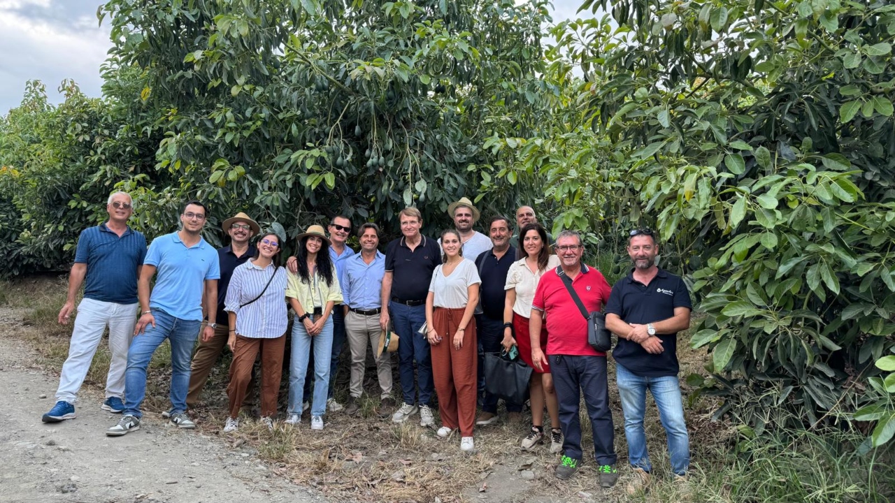 Delegazione Macfrut in visita all'azienda Piante Faro (Giarre, settembre 2025)
