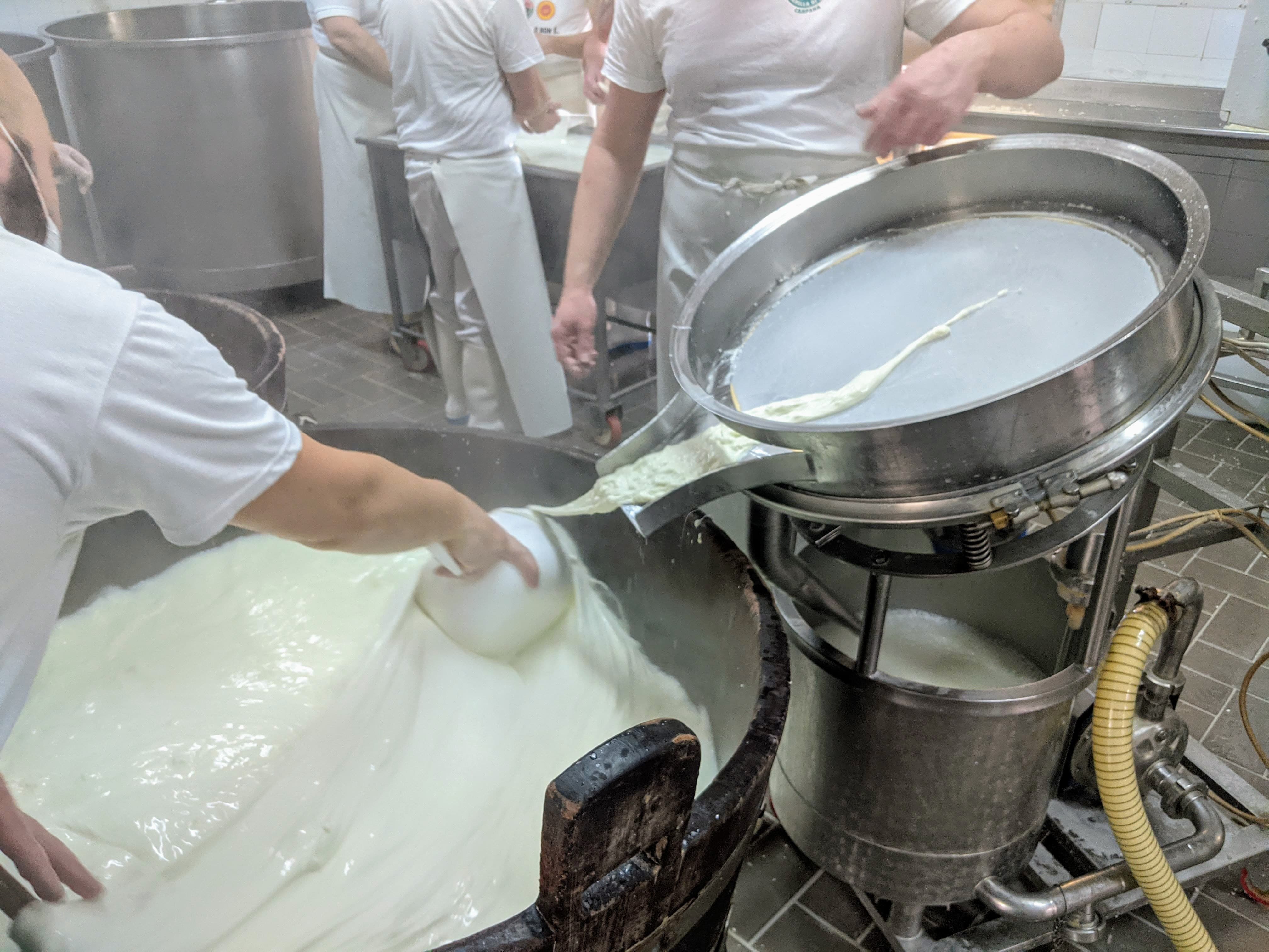 Produzione mozzarelle di bufala all'interno di uno dei casari appartenenti al Consorzio Tutela Mozzarella di Bufala Campana DOP