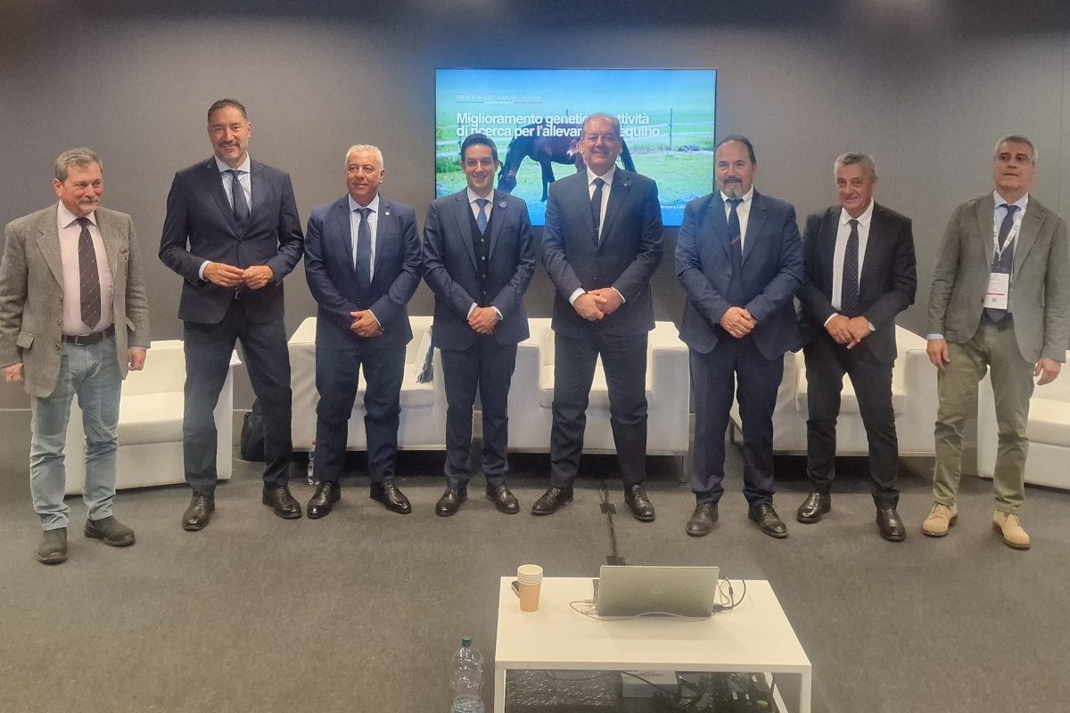Protocollo d'intesa Masaf-Crea su benessere e miglioramento genetico equino (Verona, 7 novembre 2025)