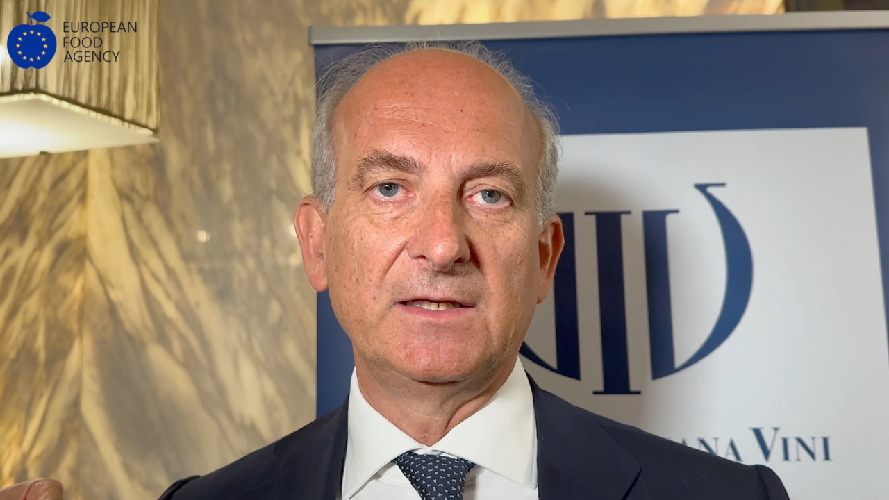 Lamberto Frescobaldi, presidente di Unione Italiana Vini (Uiv), intervistato da EFA News a margine dell'assemblea generale di Uiv (Roma, 11 luglio 2024)