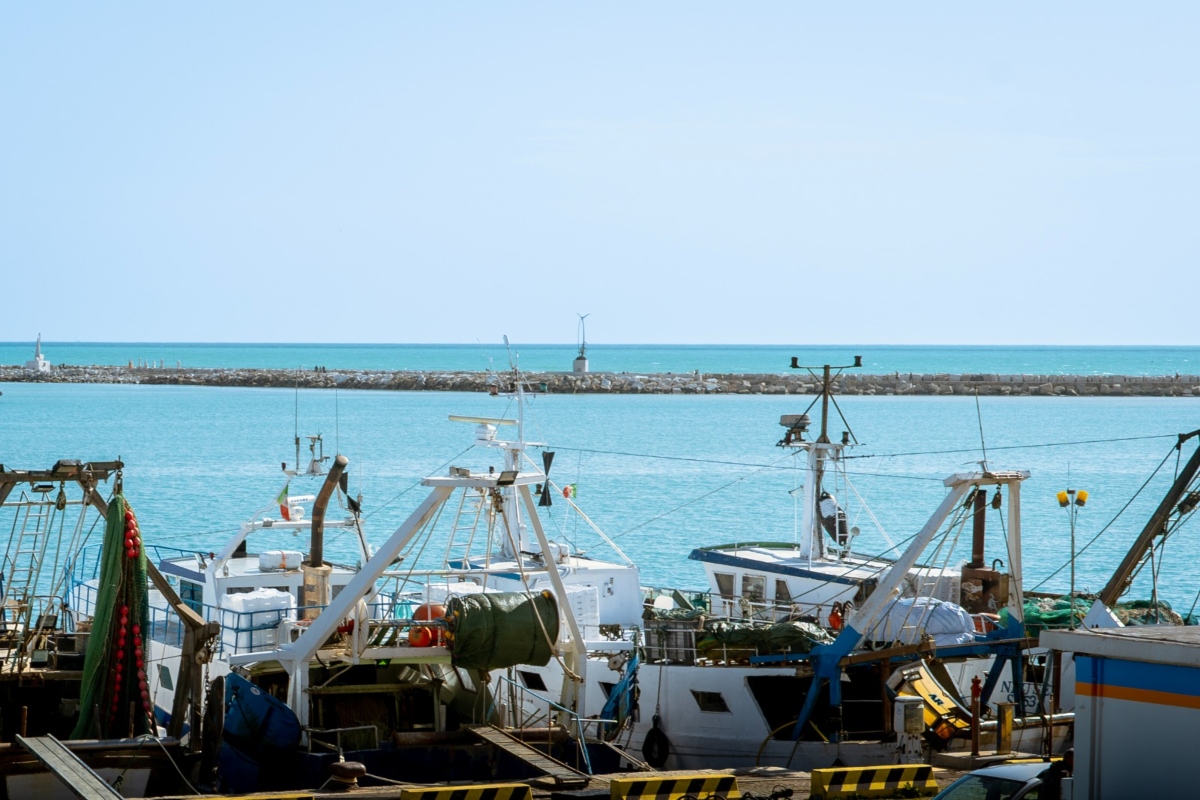 Pesca in area portuale
