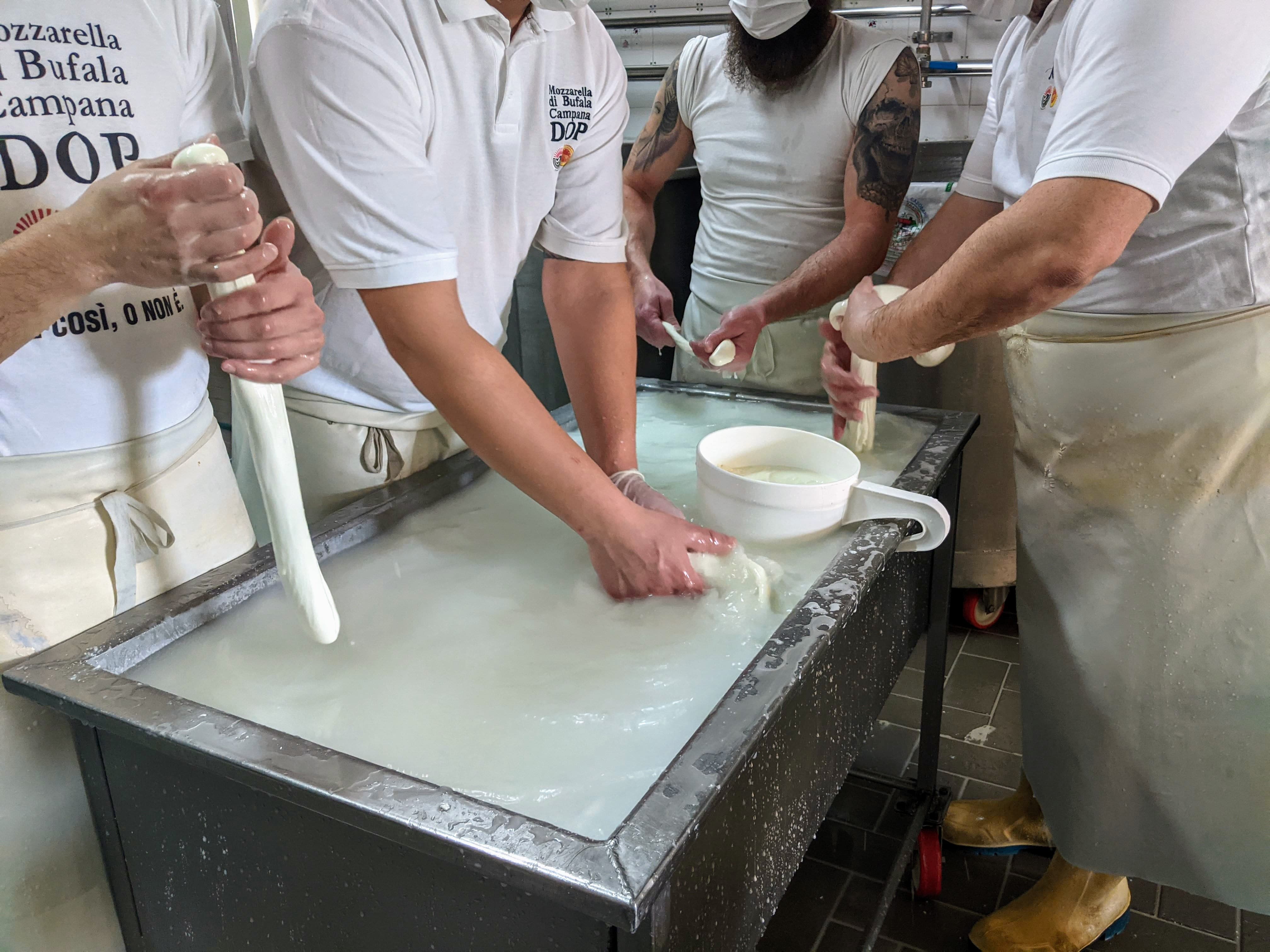 Produzione mozzarelle di bufala all'interno di uno dei casari appartenenti al Consorzio Tutela Mozzarella di Bufala Campana DOP
