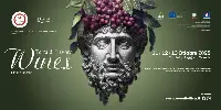Terra di Lavoro Wines 2025, Caserta