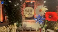 Mulino Bianco Bistr&ograve;