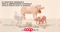 Alleviamo la salute Coop