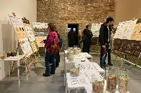 “Rapsodia della risaia – ricordando Enzo Gazzone": visitatori in area didattica