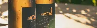 Constellation Brands wine&spirit