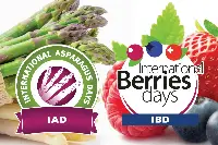 Iad - Ibd