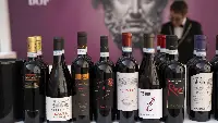Terra di Lavoro Wines 2025, Caserta