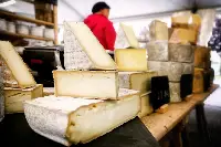 Controlli del Nipaaf al Cheese di Bra settembre 2025