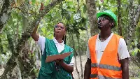 Coltivazione cacao in Africa