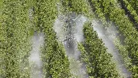 Irrorazione fitosanitaria su un meleto