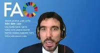 Maurizio Martina, Vicedirettore Fao
