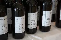 Consorzio DOC Sicilia: 3a giornata Campagna Progetto Bi.Vi.Si.