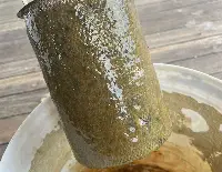 Mucillagine nell'alto Adriatico