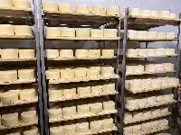 Stabilimento Rieti, Fattoria Latte Sano