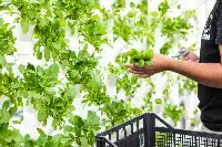 The Circle produzione