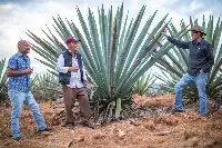 Velier, Progetto Palenque Spirits. Volti dei protagonisti e immagini delle piante di agave e della distillazione