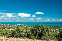 Vieste, olio del Gargano