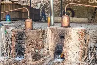 Velier, Progetto Palenque Spirits. Volti dei protagonisti e immagini delle piante di agave e della distillazione