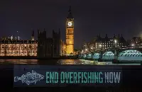 Oceana UK, campagna contro l'overfishing