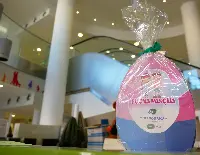 Buona Pasqua da Pam Panorama