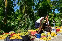 Haiti, immagini del mondo rurale