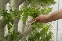 The Circle coltivazioni