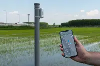 App Riso Gallo xFarm in risaia