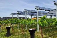 Il primo impianto agrivoltaico avanzato del Friuli Venezia Giulia a Palazzolo dello Stella