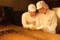 Operai Barilla
